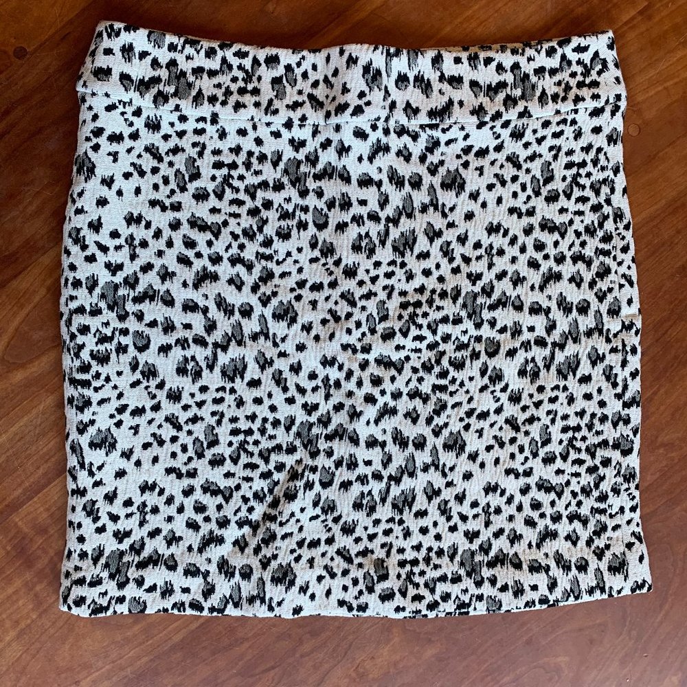 Ann Taylor Skirt